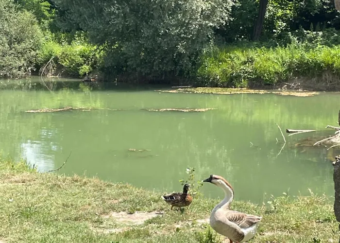 Casa Al Castello Petrignano